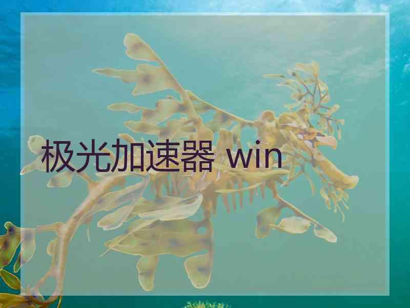 极光加速器 win