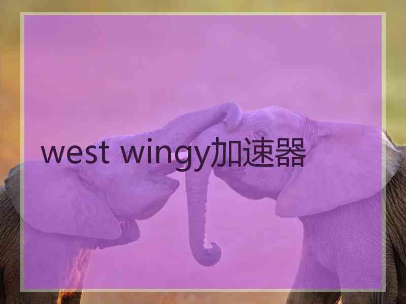 west wingy加速器