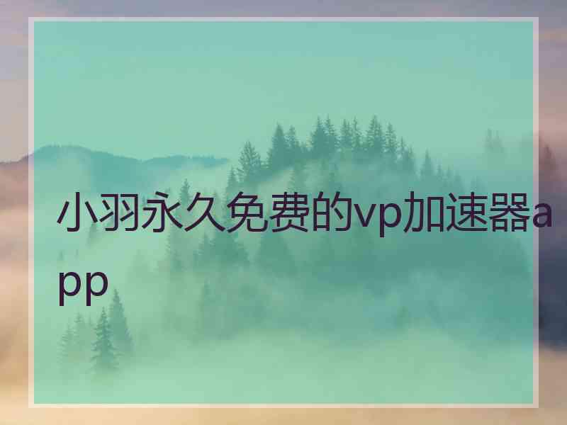 小羽永久免费的vp加速器app