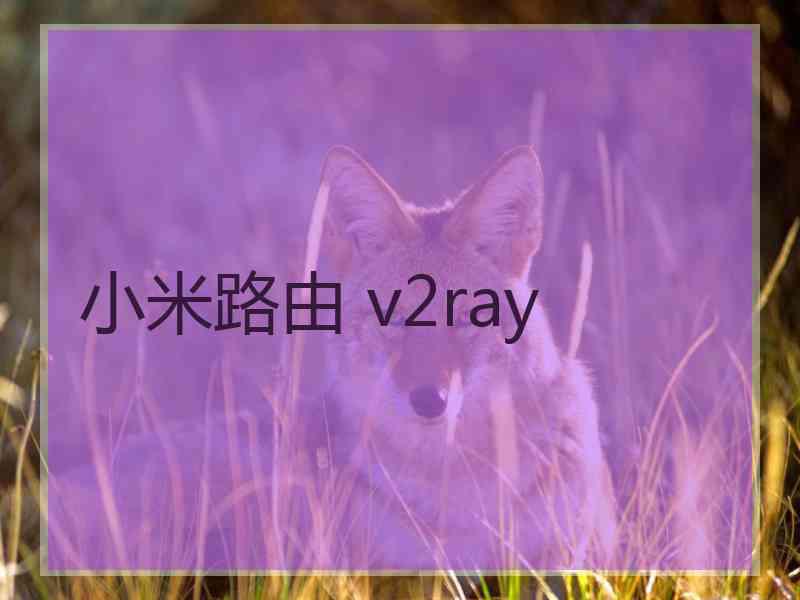 小米路由 v2ray