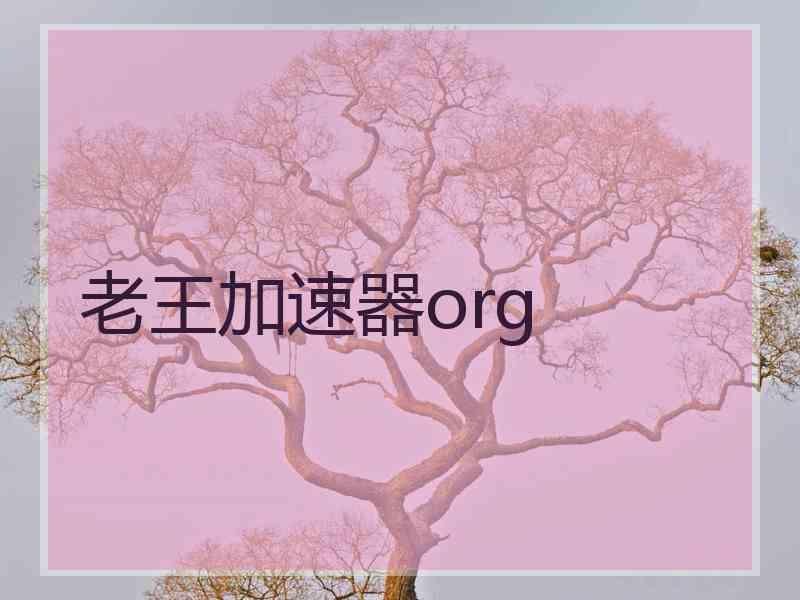 老王加速器org