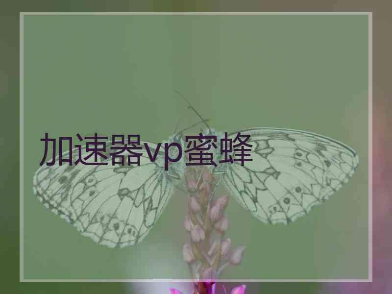 加速器vp蜜蜂