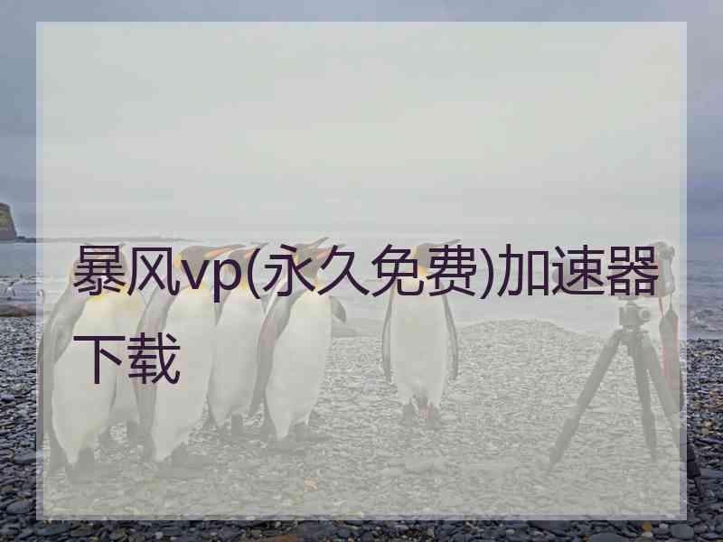 暴风vp(永久免费)加速器下载