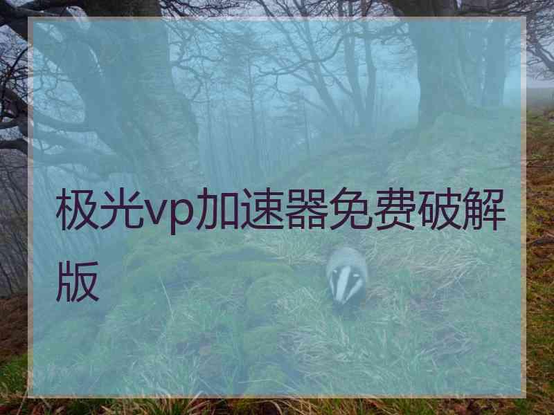 极光vp加速器免费破解版