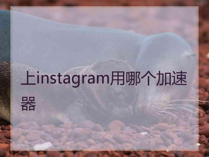 上instagram用哪个加速器