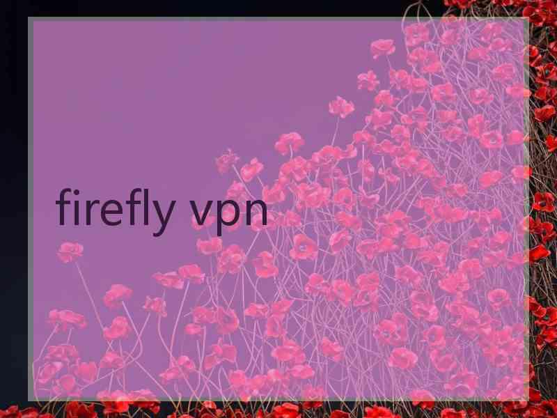 firefly vpn