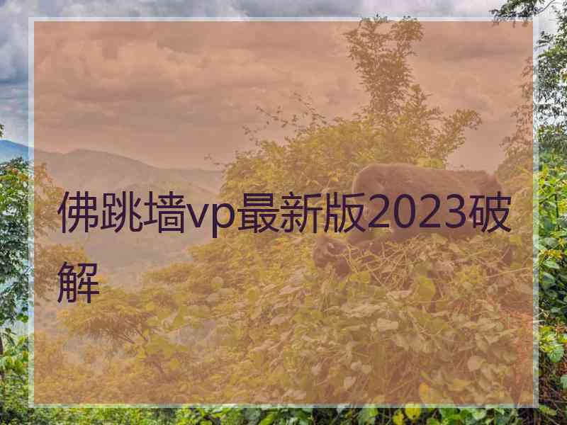 佛跳墙vp最新版2023破解