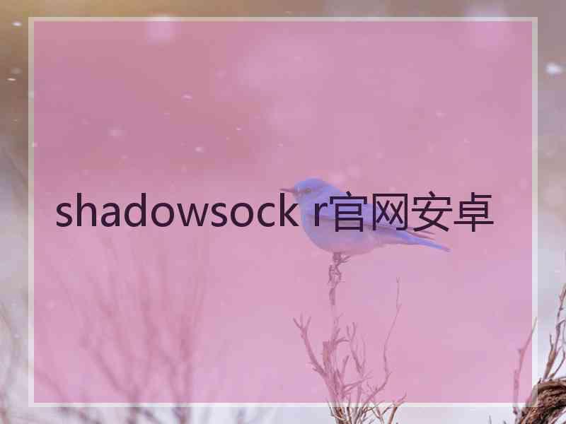 shadowsock r官网安卓