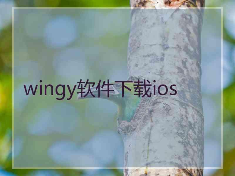 wingy软件下载ios