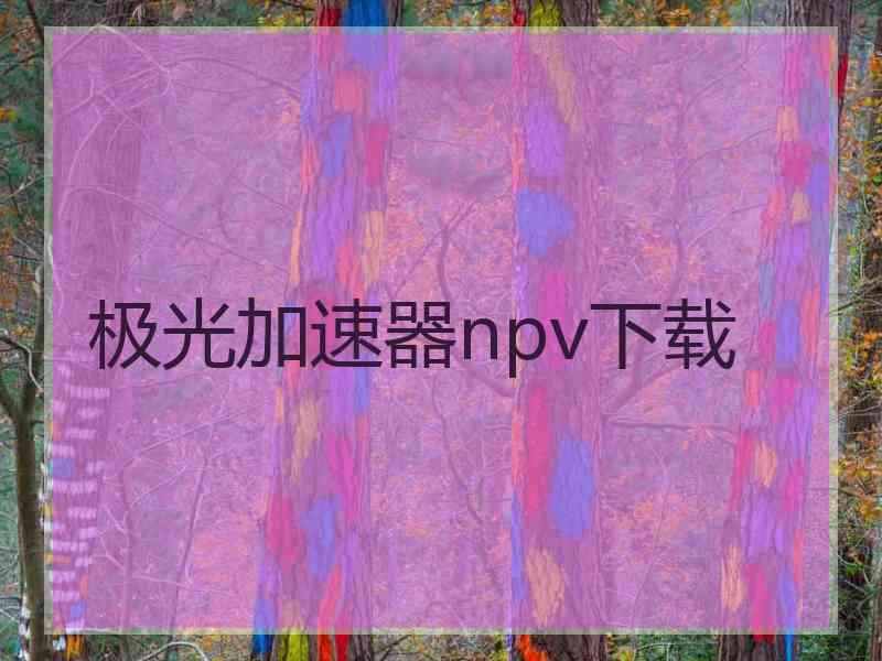 极光加速器npv下载