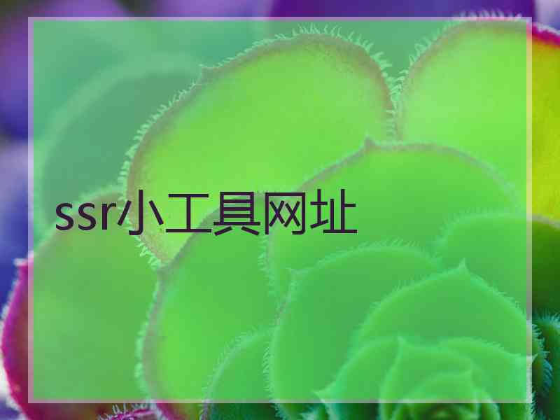 ssr小工具网址