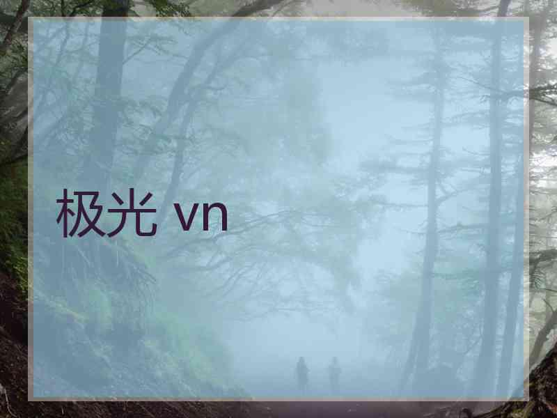 极光 vn