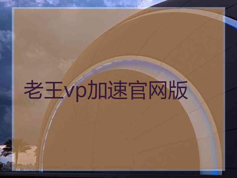 老王vp加速官网版