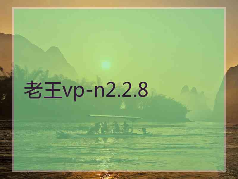 老王vp-n2.2.8