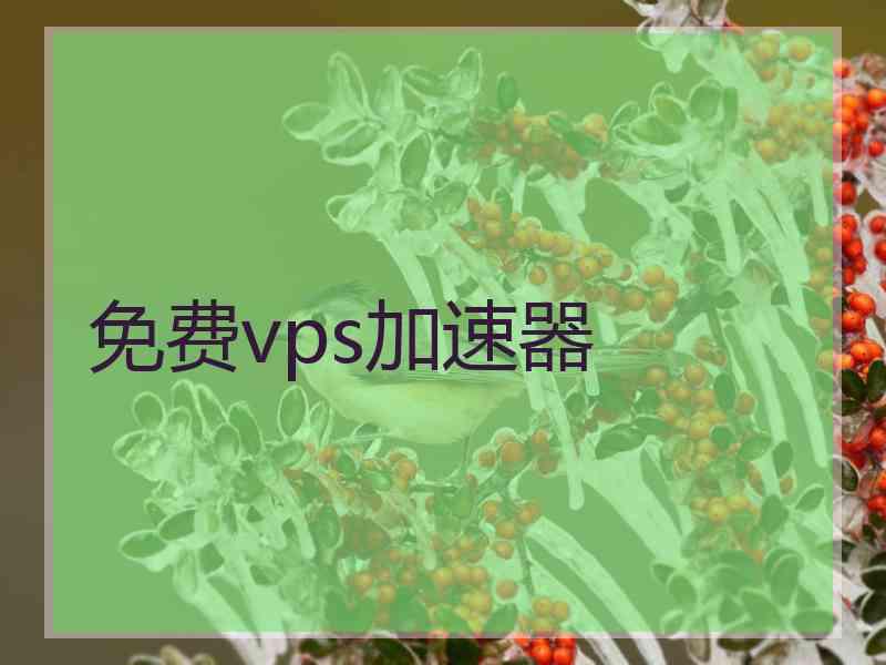 免费vps加速器