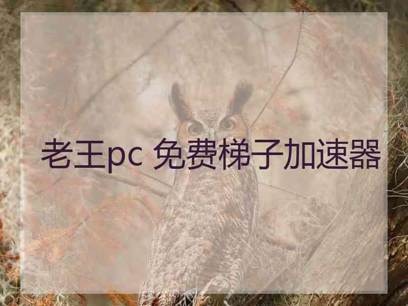 老王pc 免费梯子加速器