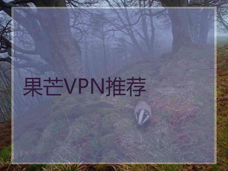 果芒VPN推荐