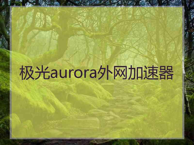 极光aurora外网加速器