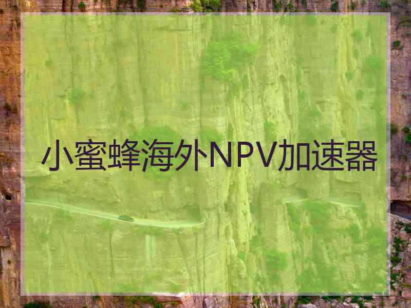 小蜜蜂海外NPV加速器