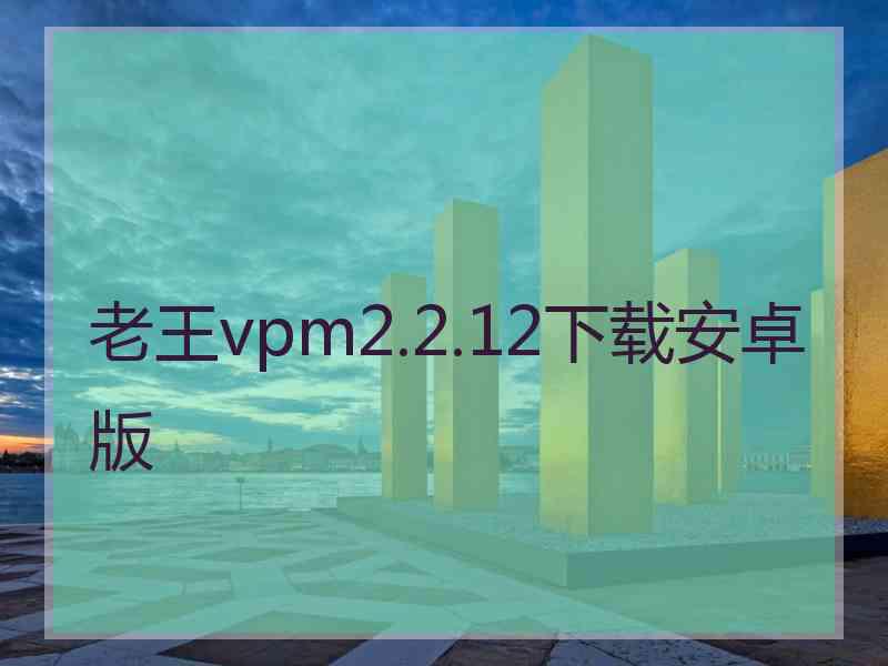 老王vpm2.2.12下载安卓版