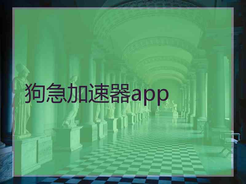 狗急加速器app