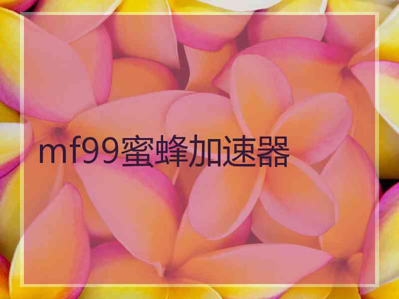 mf99蜜蜂加速器