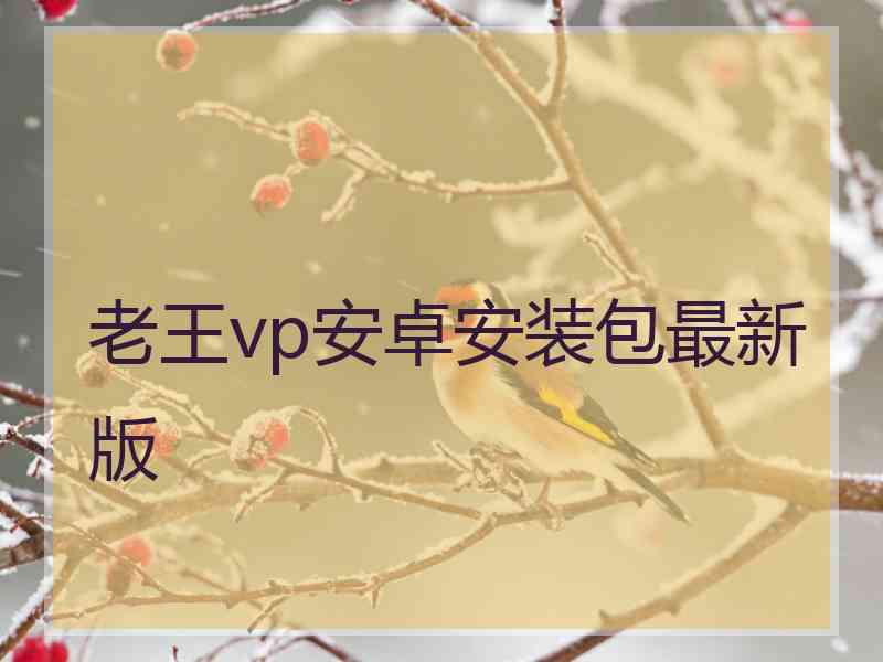 老王vp安卓安装包最新版