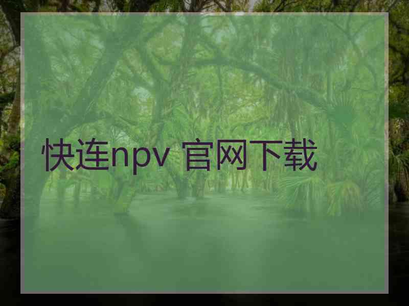 快连npv 官网下载