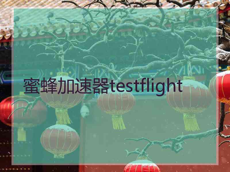 蜜蜂加速器testflight