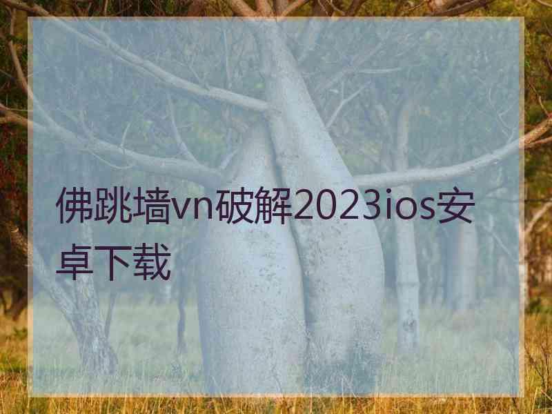 佛跳墙vn破解2023ios安卓下载