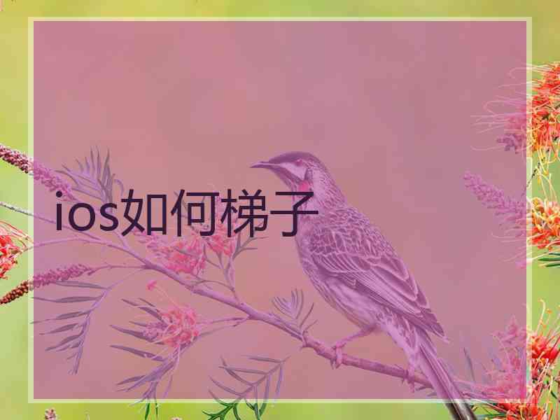 ios如何梯子