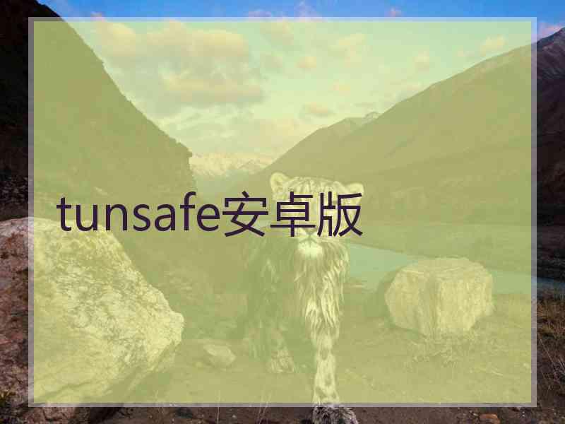 tunsafe安卓版