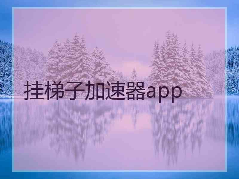 挂梯子加速器app