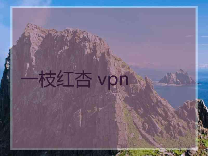 一枝红杏 vpn