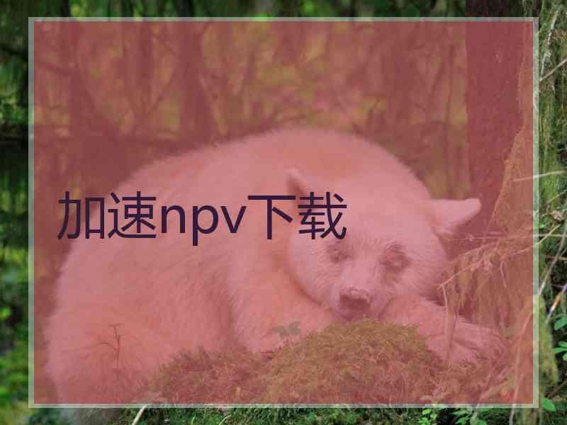 加速npv下载