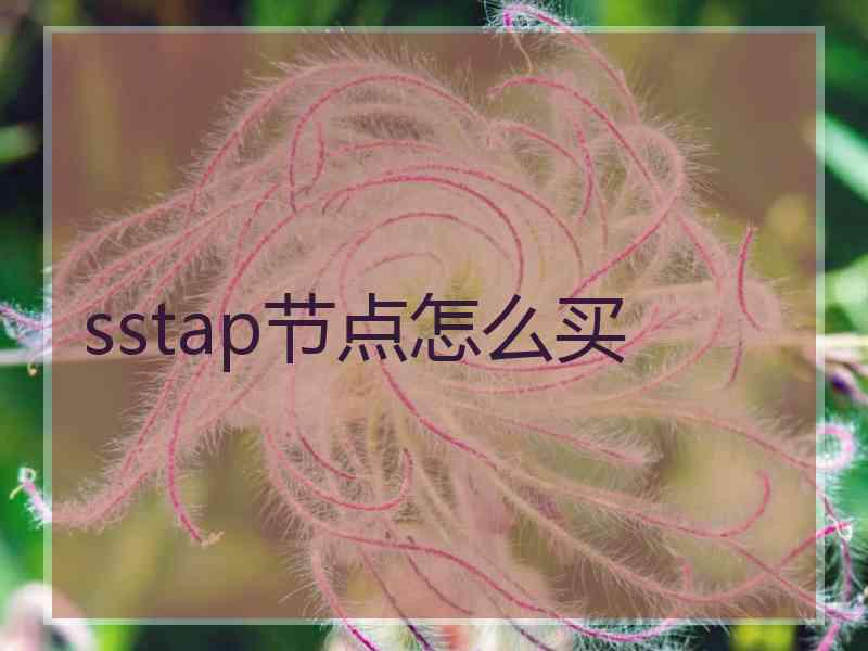 sstap节点怎么买