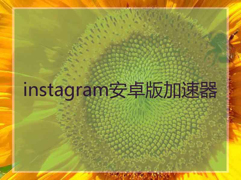 instagram安卓版加速器