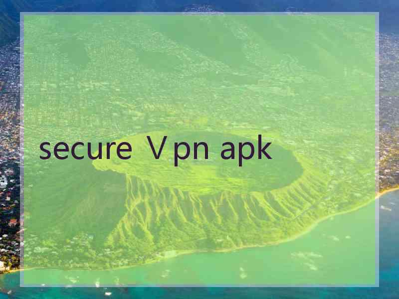 secure Ⅴpn apk