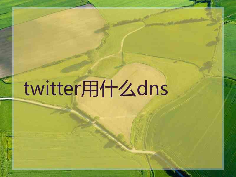 twitter用什么dns