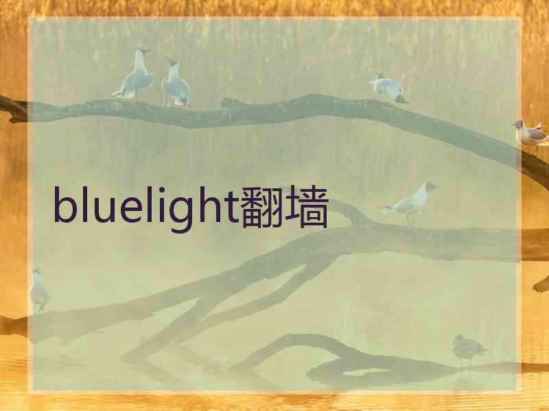 bluelight翻墙