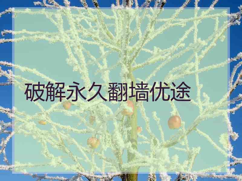 破解永久翻墙优途