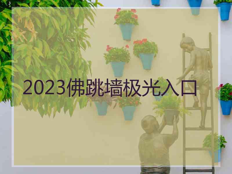 2023佛跳墙极光入口