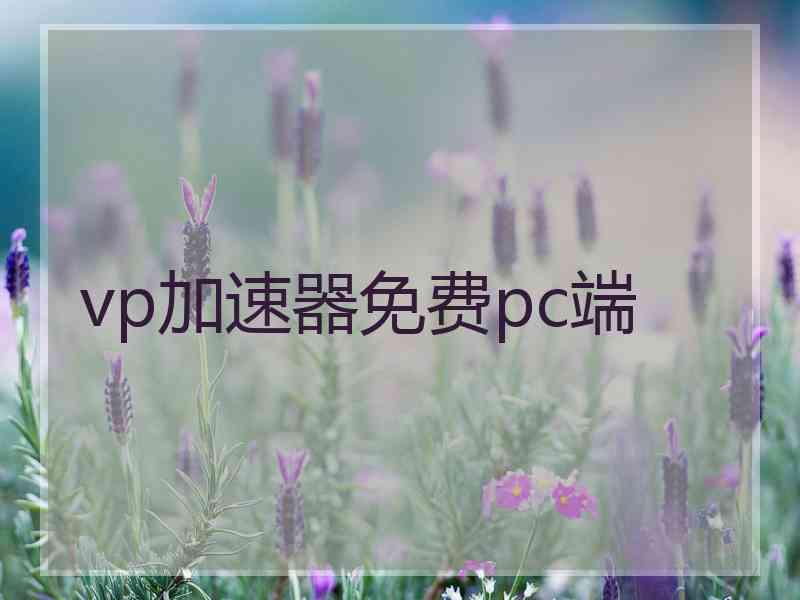 vp加速器免费pc端