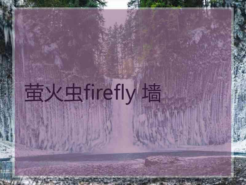 萤火虫firefly 墙