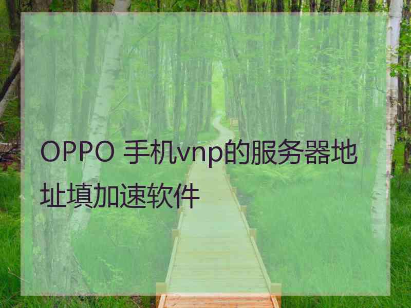 OPPO 手机vnp的服务器地址填加速软件