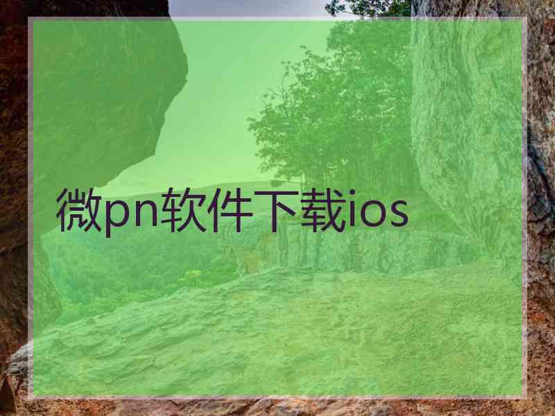 微pn软件下载ios