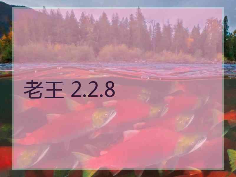 老王 2.2.8