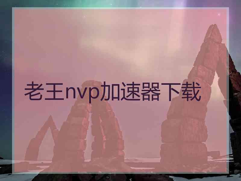 老王nvp加速器下载