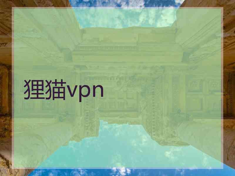 狸猫vpn