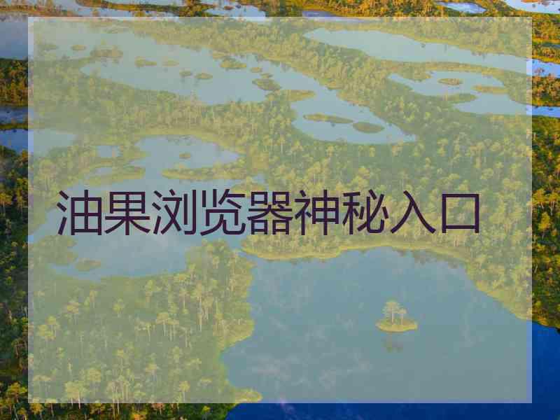 油果浏览器神秘入口